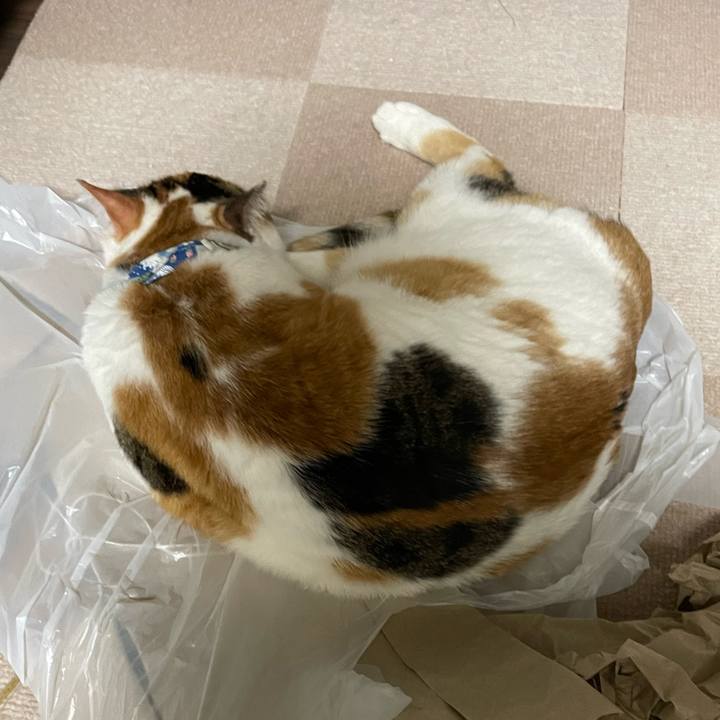 E97989d3 c99c 42c8 9f55 6517e77d66c0 1713620938335