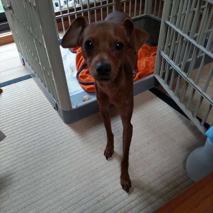 E9798e60 169e 4336 b344 e42d4873d07e 1683795218806