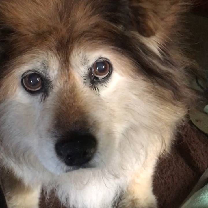 E9799b14 a3e6 4443 b0f0 e671c312a344 1567980562098