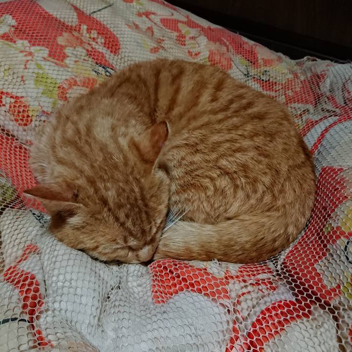 E979a499 0853 4d13 b1a1 5fc8bffb04e9 1554299021837