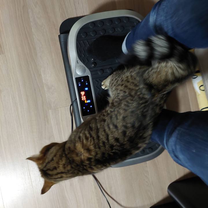 E979b3bf 986b 4b83 92f3 b46557fcecba 1639690832579