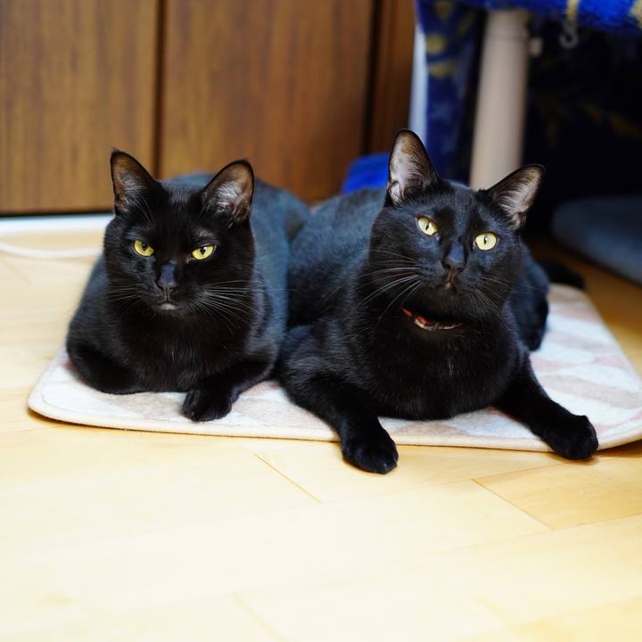 E97a3b28 aafe 4122 95c3 ef3ca98ffd58 1575503376711