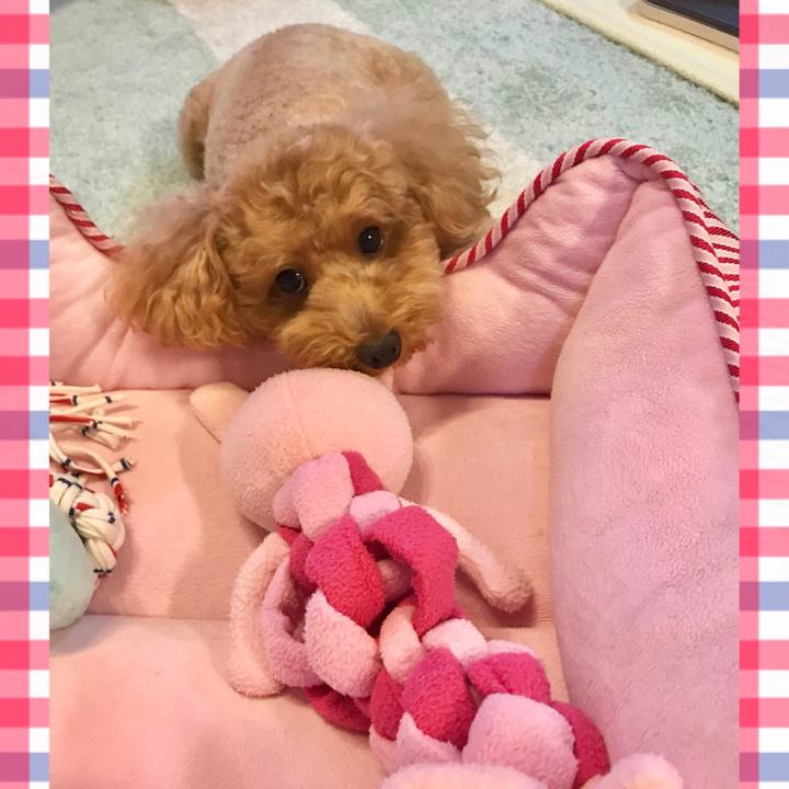 E97a4138 bafc 4214 bff5 f40ce6a3acca 1535981286896