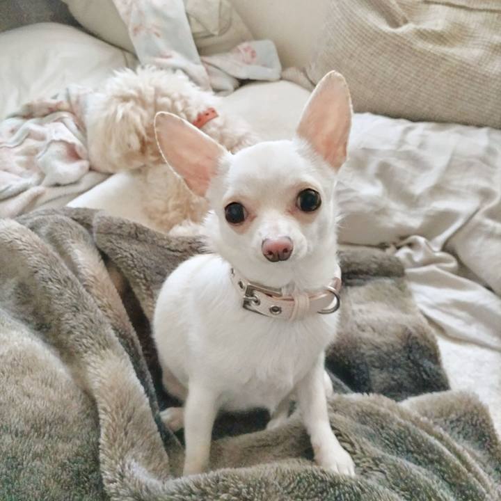 E97a4c0c ad78 4dfa 909d 276d86987fd9 1713995974002