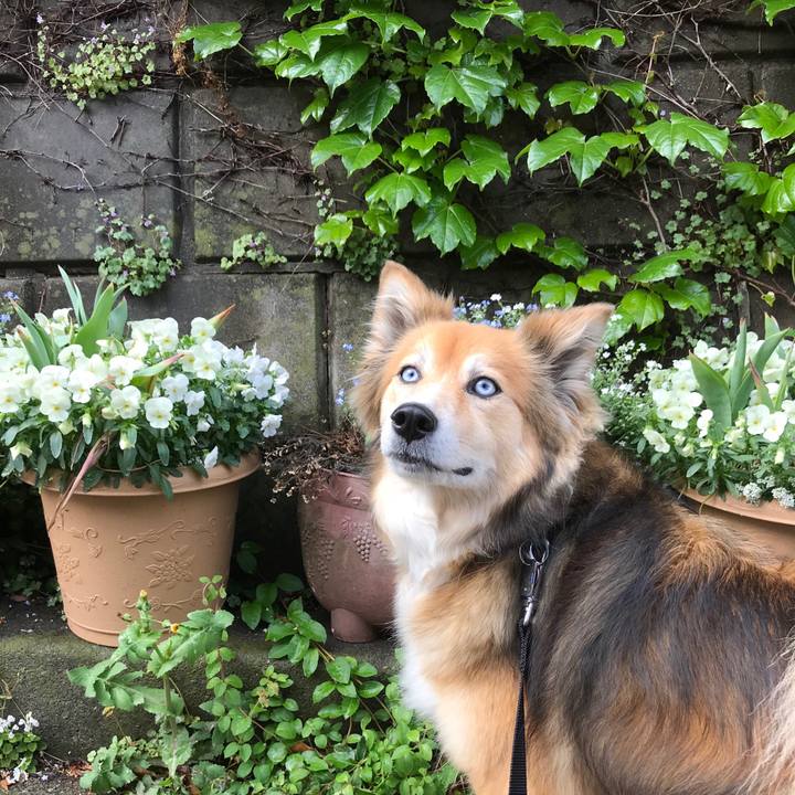 E97a7833 2098 4774 9d0b 6dd764ea2540 1524273636451