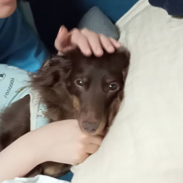 E97ab2e5 6cfe 40fa bc66 4794bb39bed4 1754862730753