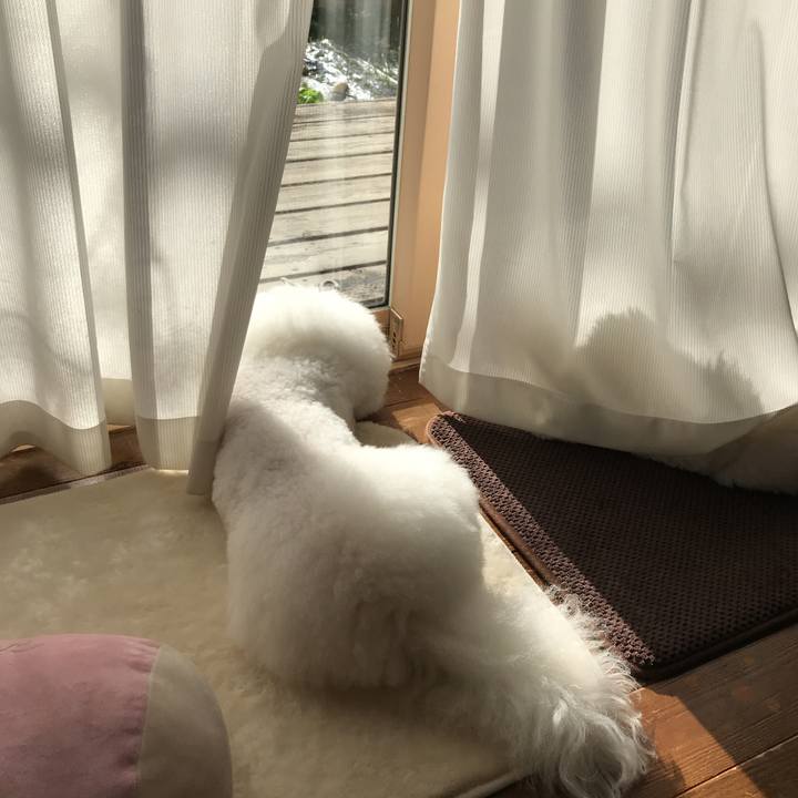 E97ac034 4dca 473f 8d0a 8eae9c07ab8c 1543971622129