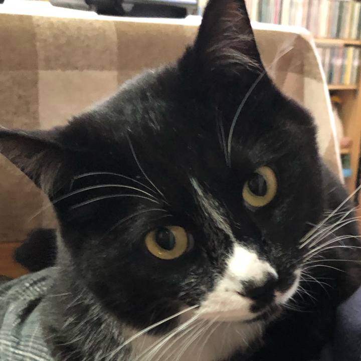 E97adb6b 2b31 49cd b0b4 2cf6bed5d368 1619235166325