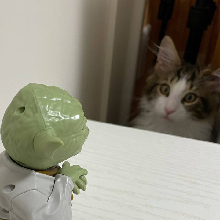 E97af919 9e0e 45dc 84b8 346122299784 1634297832299