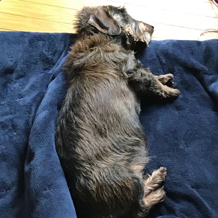 E97b2c95 16f6 481f 8cd2 794ac45e4321 1554711641637