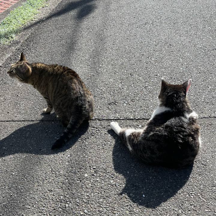 E97b3472 e637 4b96 a683 314d7651e4fe 1620008255949