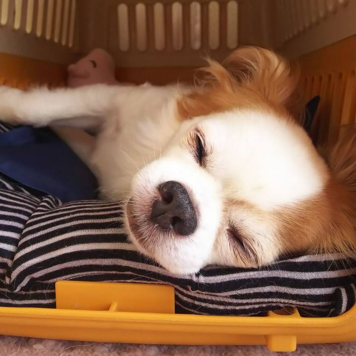 E97b5fec ac85 41a5 9488 aa5dd84152b6 1597117078163