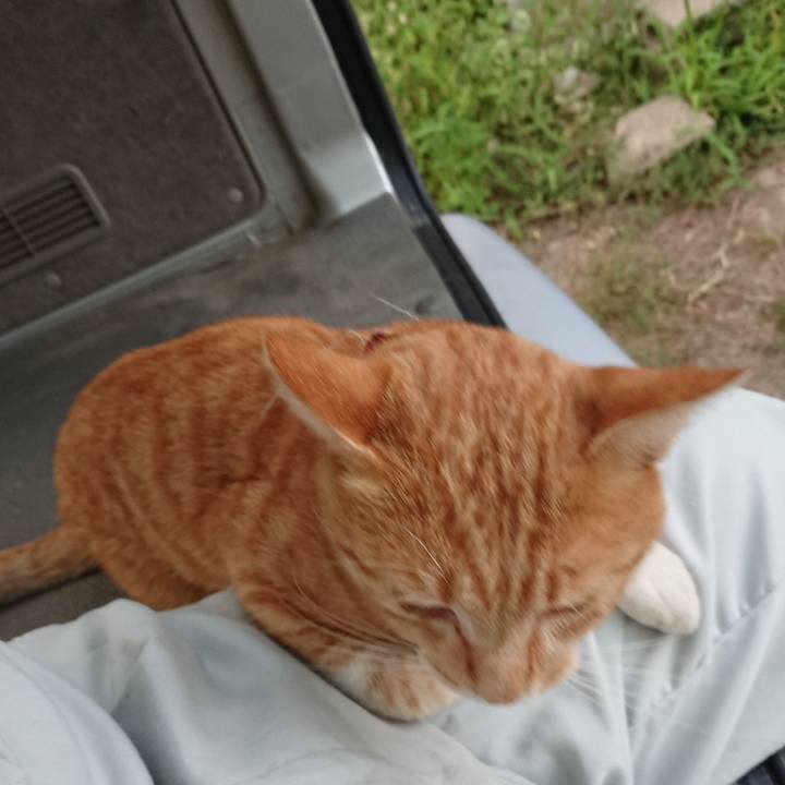 E97b700b 2be9 4e6f 96db 97049ac6475d 1565169283194