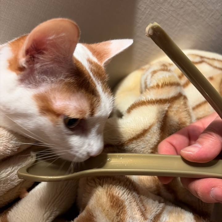 E97b7b85 a330 43ca 84d7 58478f03da06 1769172982892