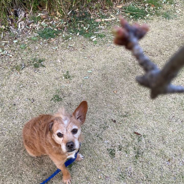 E97b83dc f487 4d09 8ddd f8cebc6c74db 1711112748638