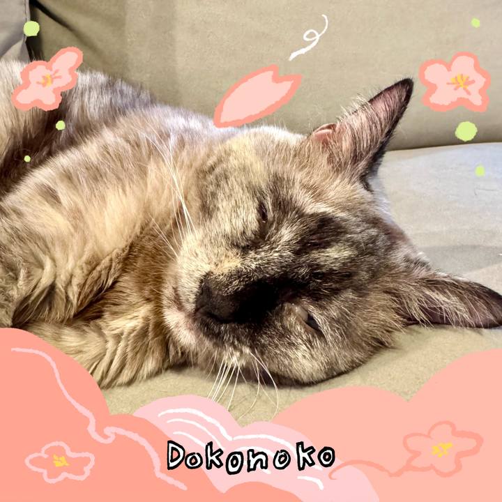 E97b9dae 72b8 4501 9aa1 7ce53dbdd22a 1775868129622