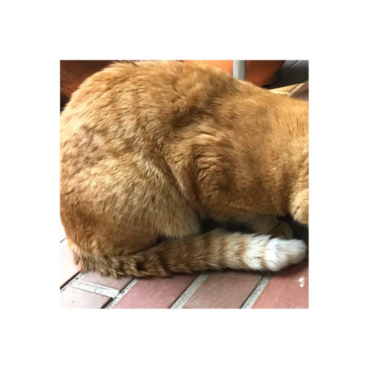 E97ba6d2 755f 4c97 a9ea b4cfdcac6dd5 1619927152552