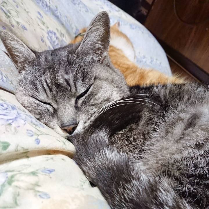 E97be739 c867 4a33 bb65 f1e327844a2f 1582114298659