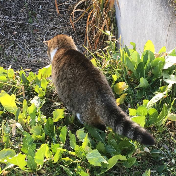 E97be767 f733 49d2 85b2 0a91e121f4e8 1513154360250