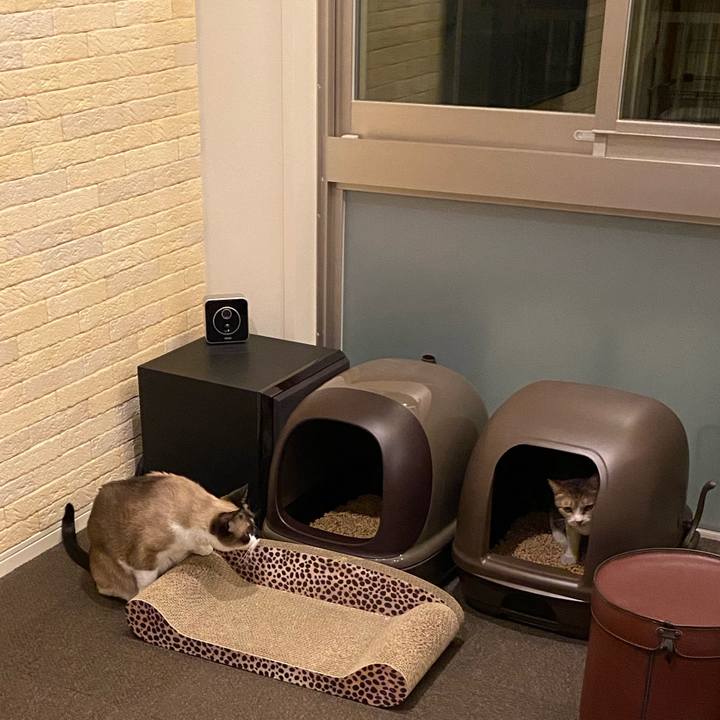 E97c79ec 90f0 4cd5 a1af f3c9501454b4 1592360372982