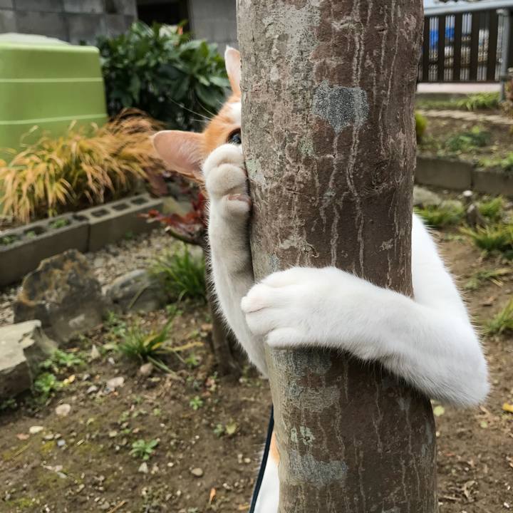 E97c8868 d90c 4a16 9333 20003d6715df 1510881858200