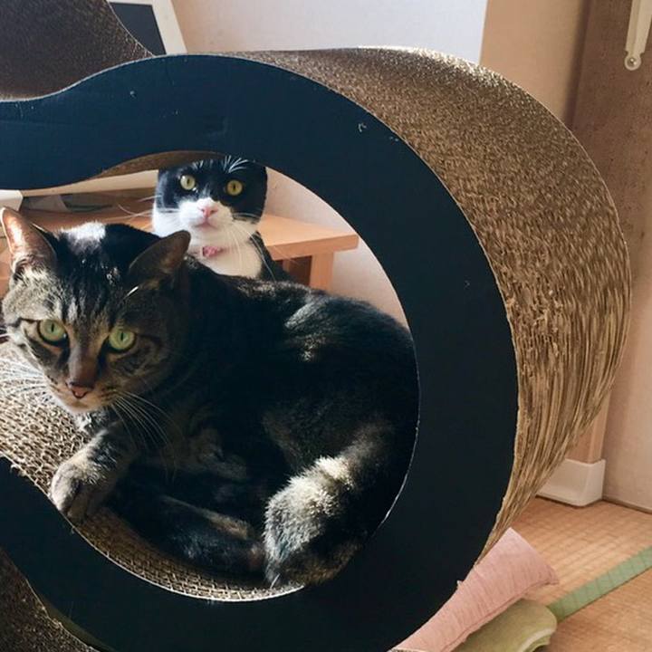 E97c8e30 2e9a 4949 9860 66ab00c5712d 1553219695093