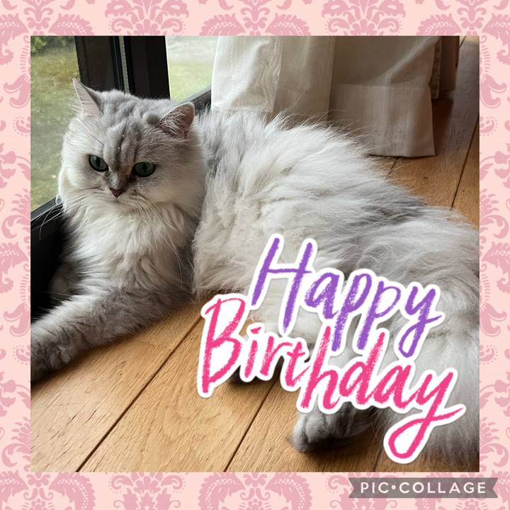 E97caae7 6411 4f4b 857c e3b09e1d93cc 1661072775974