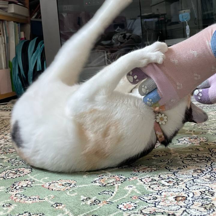 E97cadc4 b27f 4644 8473 72aada38d1af 1681710098488