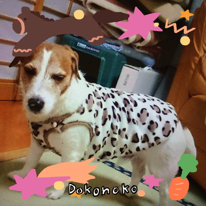 E97cbad3 594a 447d beac c70d402e4987 1772029030677