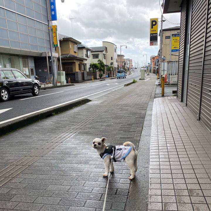 E97d0ef8 9847 475c b7b1 c27888d488fa 1628499561308