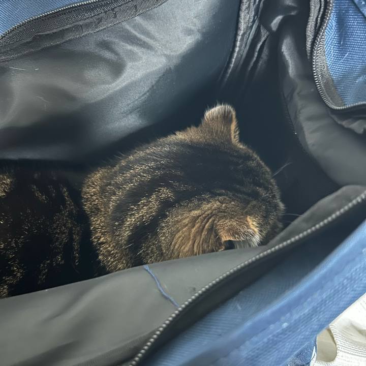 E97d2312 cc8e 4299 bba1 b260f355967b 1764106571810