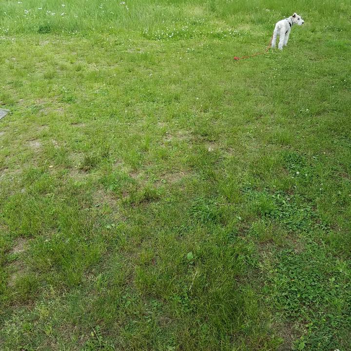 E97d3d1c c2de 4ea3 b77e 2a4954991414 1557240849021