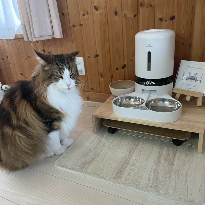 E97d4277 fa95 4840 9ea4 f5393232eaff 1745785931781