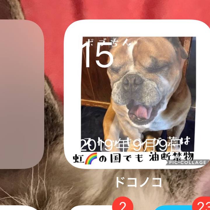 E97d67d3 acaf 408d be2b 41e4fb172629 1663211134748