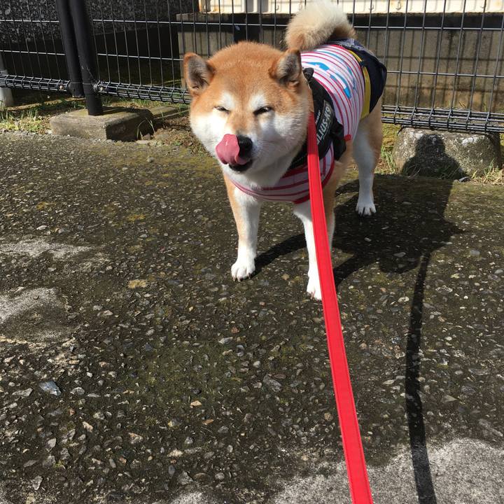 E97d9dd0 c0be 4fa6 8f7f c41a13ed01a8 1591918651731