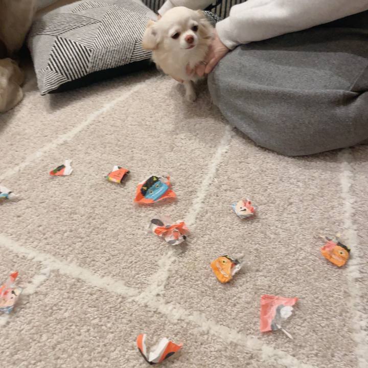 E97ded58 3ccf 42fc 8b0b d3a95f05dbb3 1706506443127