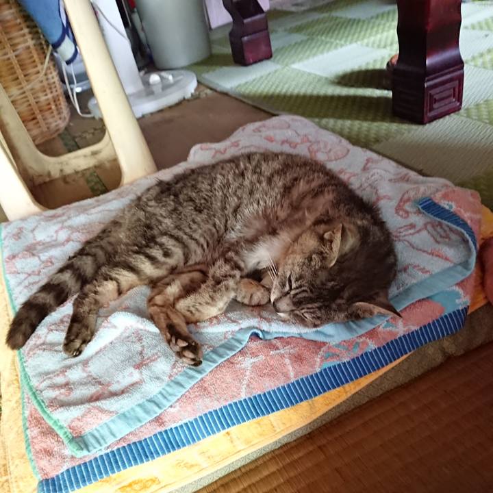 E97df191 604b 424d 9125 e554a39821ba 1595569433961