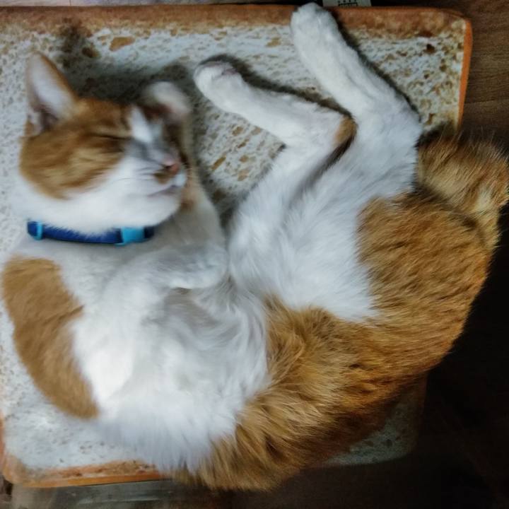 E97e0c35 61f0 4660 b566 4d72fb10e712 1584018347847