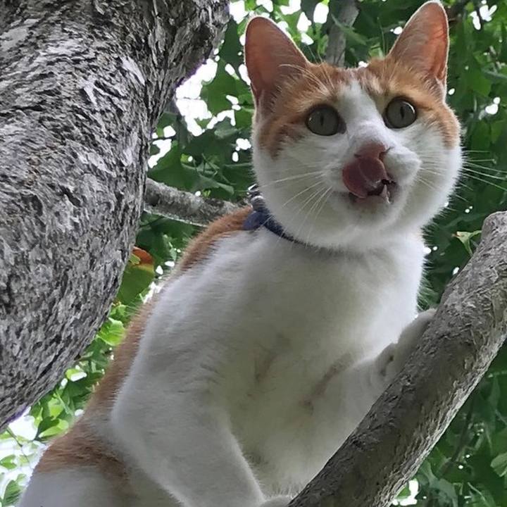 E97e3589 3bfc 4281 854e 6cef9cbe9836 1531640438661