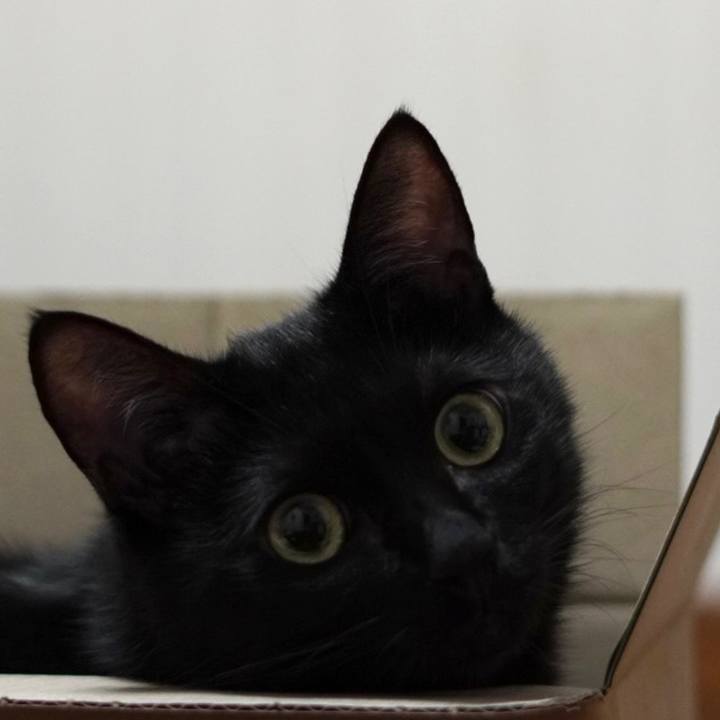 E97e59f2 c61d 4459 969e 3cab1df257cd 1661776917326