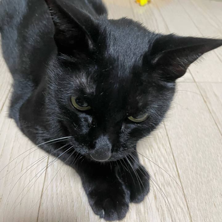 E97e7baf fca3 4154 862d a262805dcea3 1762434963996