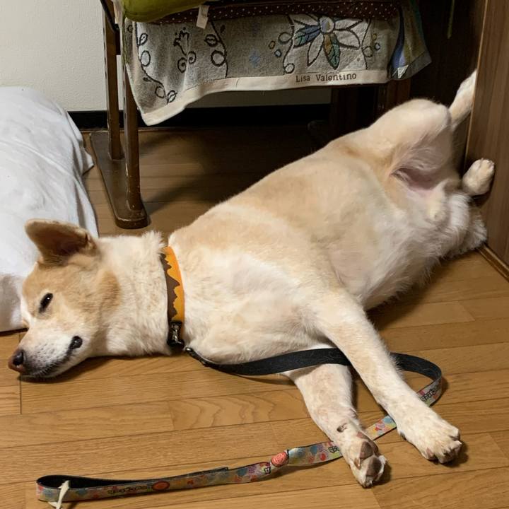 E97e7dd5 17e6 4e4d b2f9 1a0150c219de 1596117807241