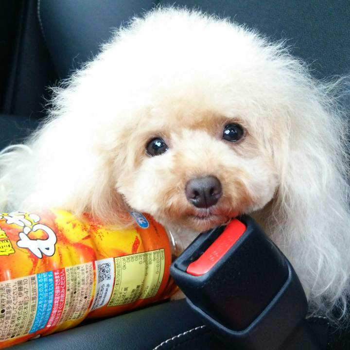 E97ec7b2 3c6b 42c3 b3e3 0b7564f30dae 1536492775224