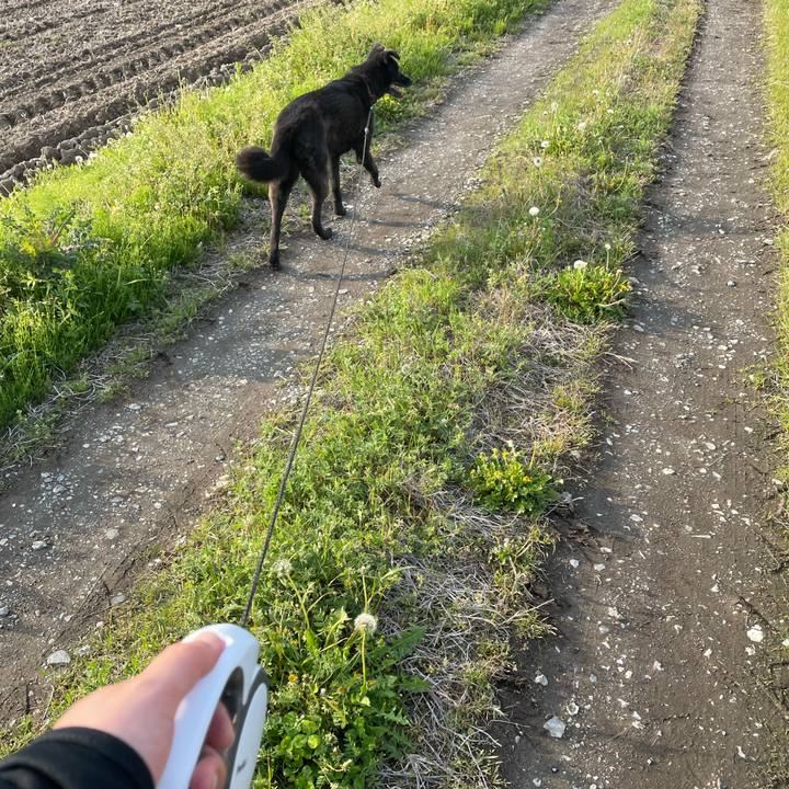 E97edaef 2644 4045 bfcb bca675af4c32 1650352991092