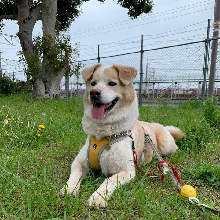 E97f34bf baef 4857 a9e6 d6eece9cec5e 1617495944859