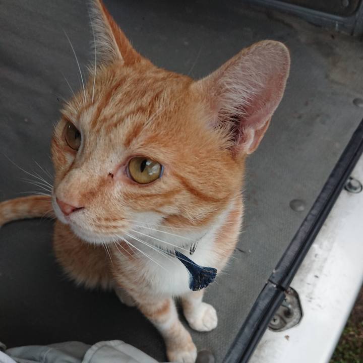 E97fc029 de82 4393 9848 a1ef95d1025c 1563959803983