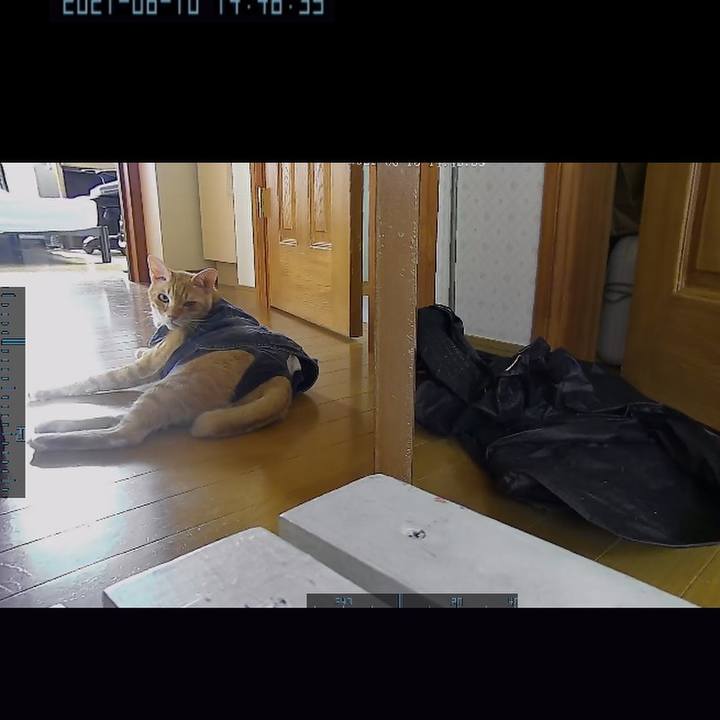 E97fcda3 591f 4e60 b5e7 0560b9c719db 1623319281765