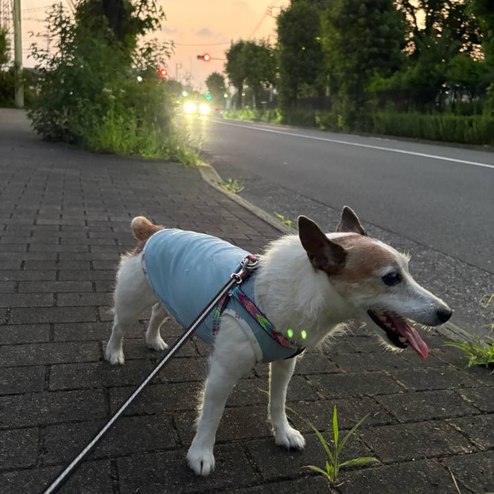 E97fda4e 5d37 4c20 9edf c38000b17856 1752018363120