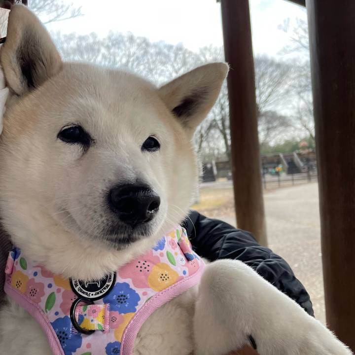 E97ff48c 91ce 47fa 97fb 3eb49aaca312 1646546037091