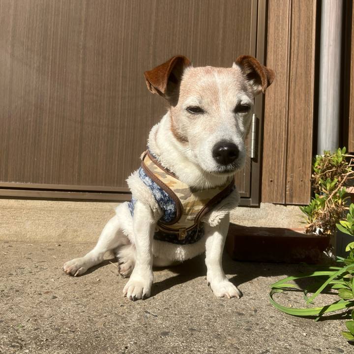 E980080e 9cdc 434e 8436 aced2e6d22dc 1764717552256